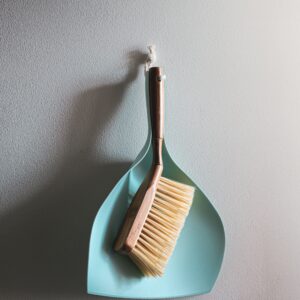 kitchen brush
